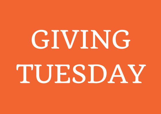 Ask for donations before Giving Tuesday